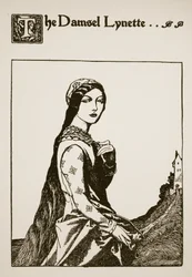 The Damsel Lynette, illustration från 